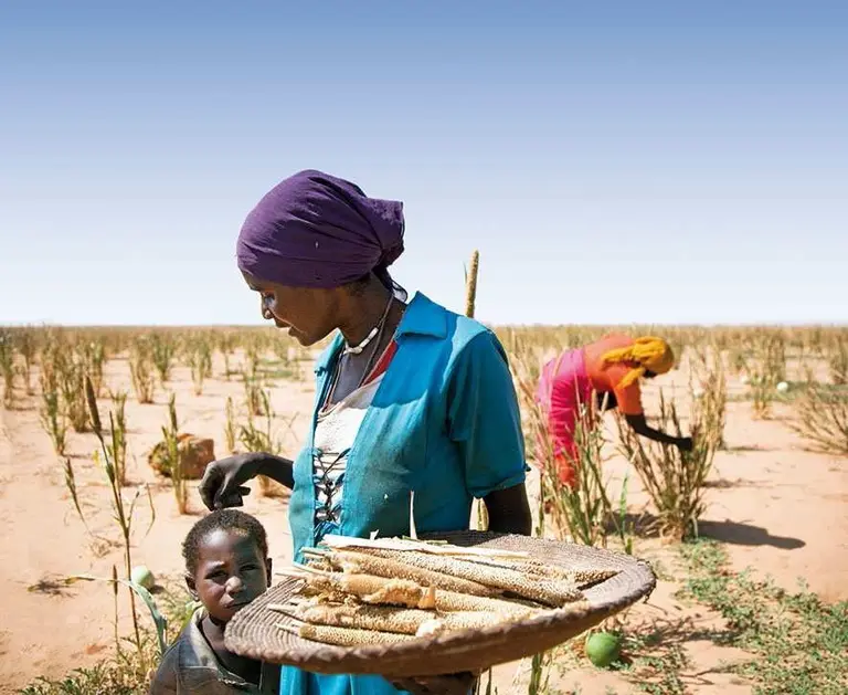 Microsoft Vision API: 'a man that is standing in the dirt' Alttext.ai: 'a woman holding a tray of food in a desert.'