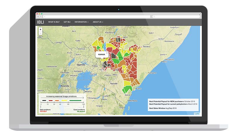 Index-Based Livestock Insurance