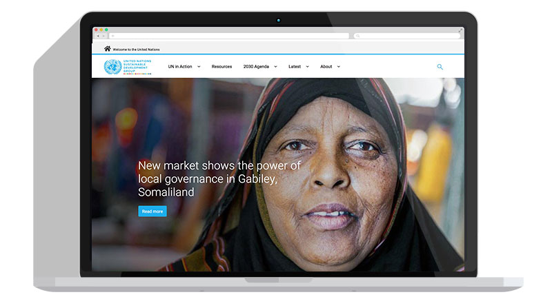 United Nations Sustainable Development Group